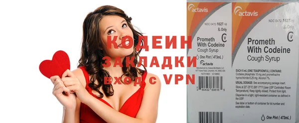 apvp Инсар