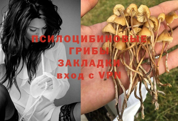 прущая мука Абаза
