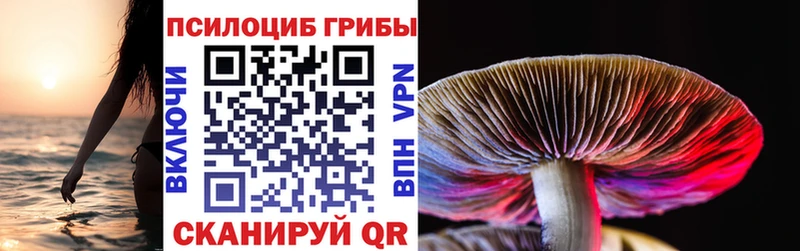 Галлюциногенные грибы прущие грибы  гидра ТОР  Мурино  купить наркотики цена 