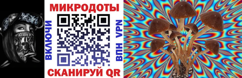 Галлюциногенные грибы Psilocybine cubensis Мурино