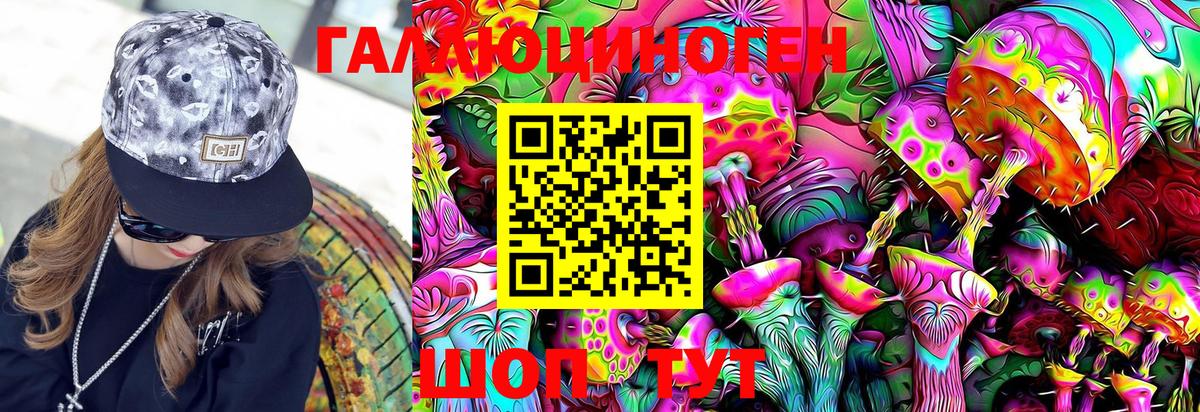 Мурино  как найти закладки  Вход с VPN  Псилоцибиновые грибы Psilocybine cubensis 