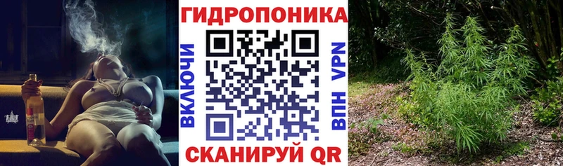Конопля Ganja Мурино
